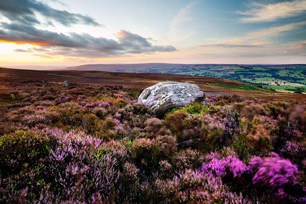 Nidderdale